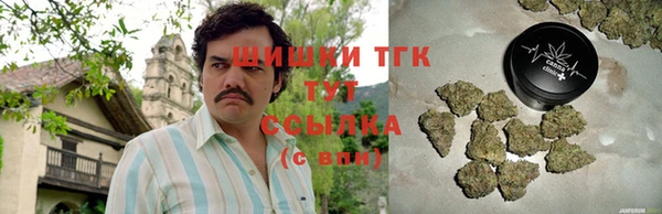 винт Абаза