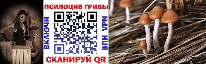 Галлюциногенные грибы мухоморы  купить наркоту  Сясьстрой 